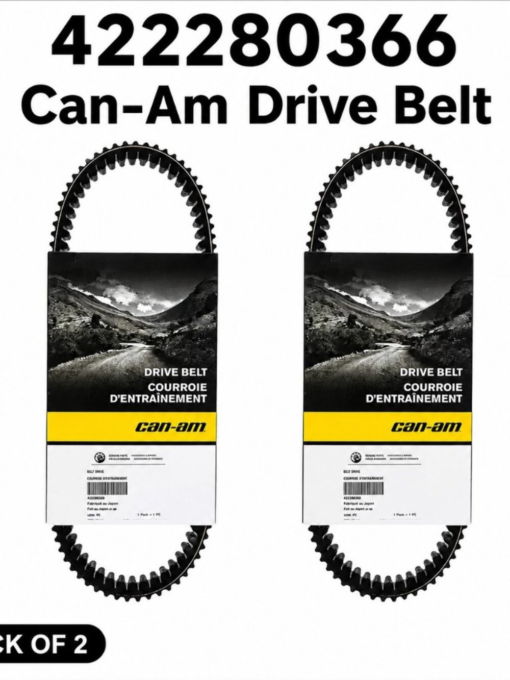 Can-Am OEM Clutch Drive Belt, 422280366 Pack of 2